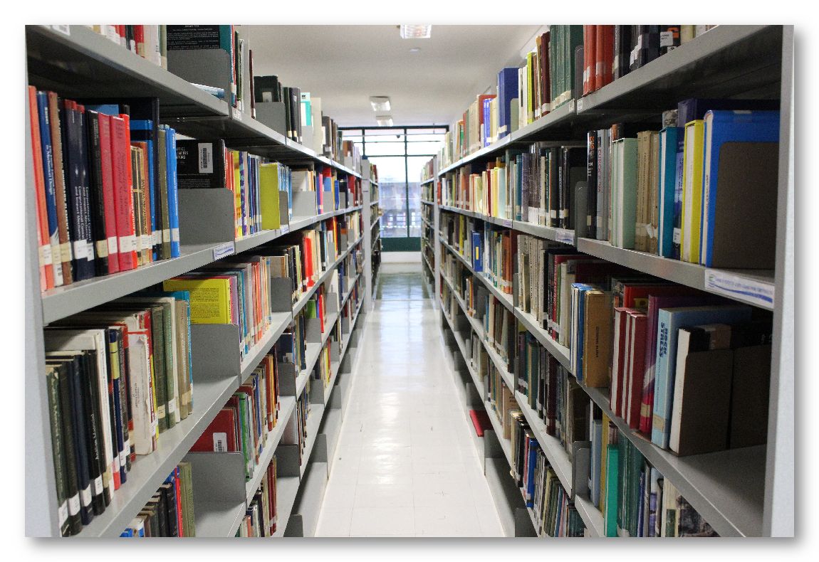 eesc biblioteca site