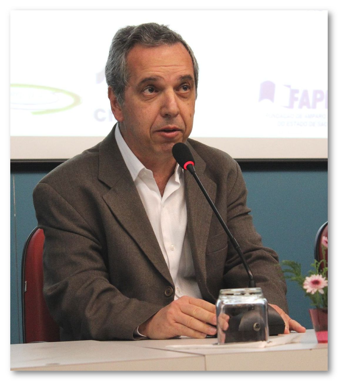 eesc professor edmundo site
