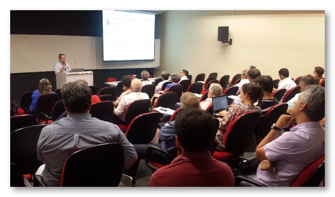 workshop diretrizes de ensino  4 site